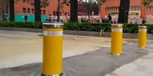 不可或缺的学校茄子影院成人污版