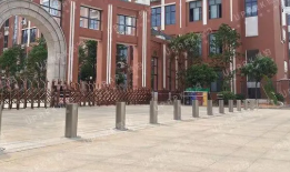 学校茄子影院成人污版是否有必要